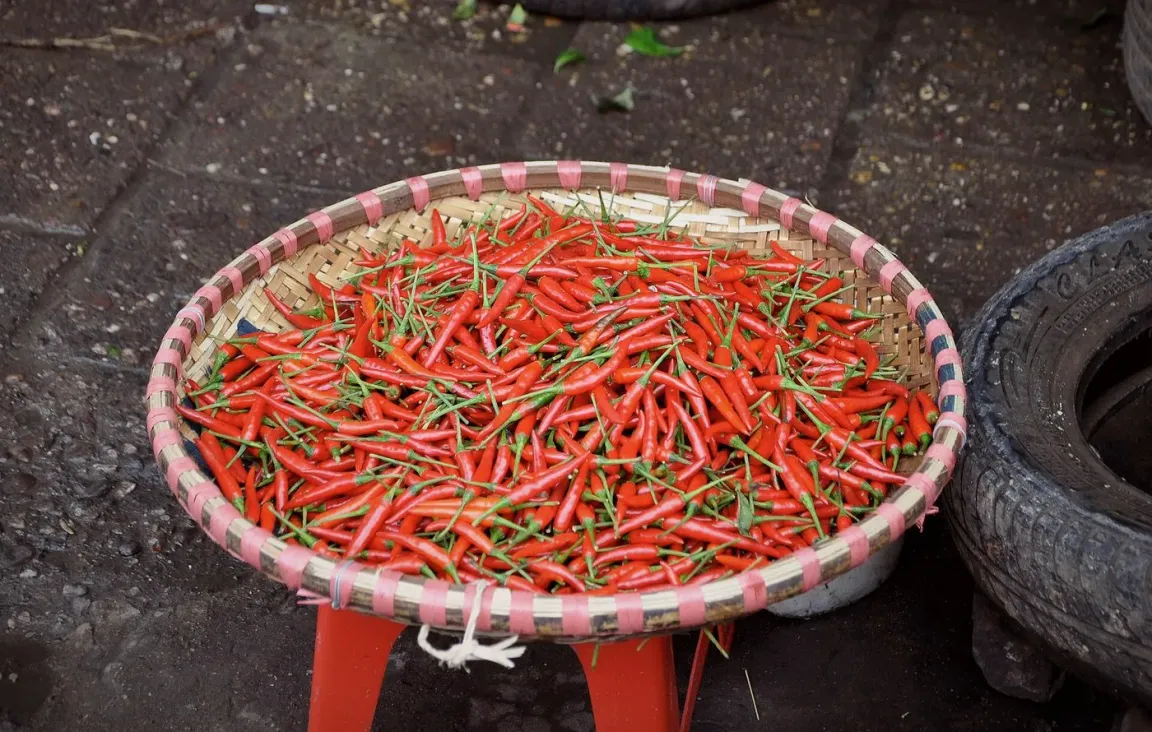 Le comptoir aux piments – YUELU, restaurant hunanais à Paris